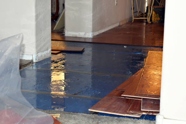 Professional Basement Water Removal technician working in Rice, MN
