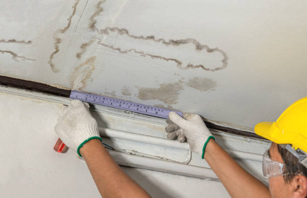 Reliable Basement Water Removal contractor in Rice, MN by Water Damage Irwin